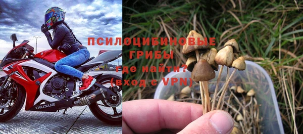 экстази Арсеньев