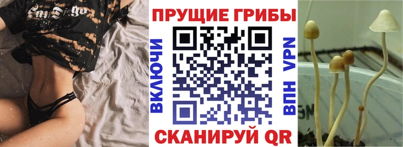 где купить   shop Telegram  Псилоцибиновые грибы ЛСД  Боровичи 